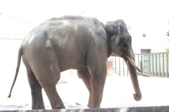 41 箱のウキウキJPEG撮り写真