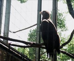 49 箱のワクワク、フィルム写真