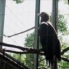 49 箱のワクワク、フィルム写真