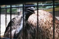 45 箱のワクワク、フィルム写真