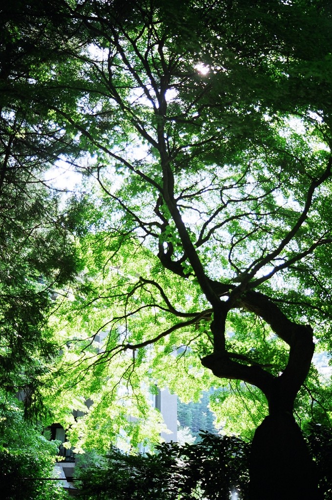 72 箱のワクワク、フィルム写真