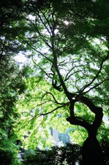 72 箱のワクワク、フィルム写真