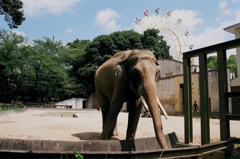 46 箱のワクワク、フィルム写真