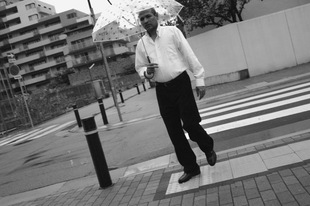 Cute umbrella