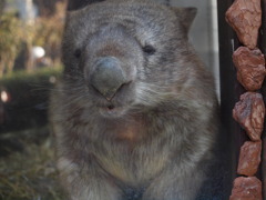 金沢動物園