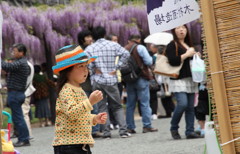 藤棚公園で