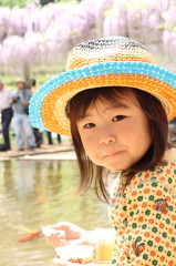 藤棚公園で