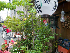 人力車の通る町