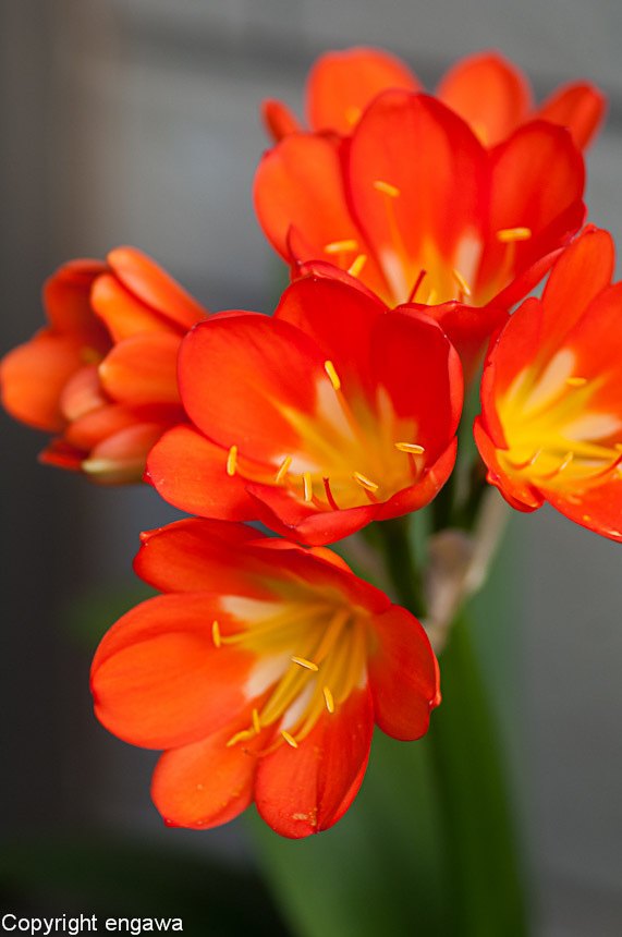 20120504-DSC_7632