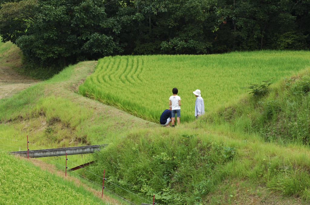 里山の中