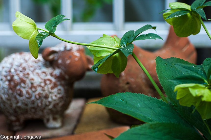 20120504-DSC_7623