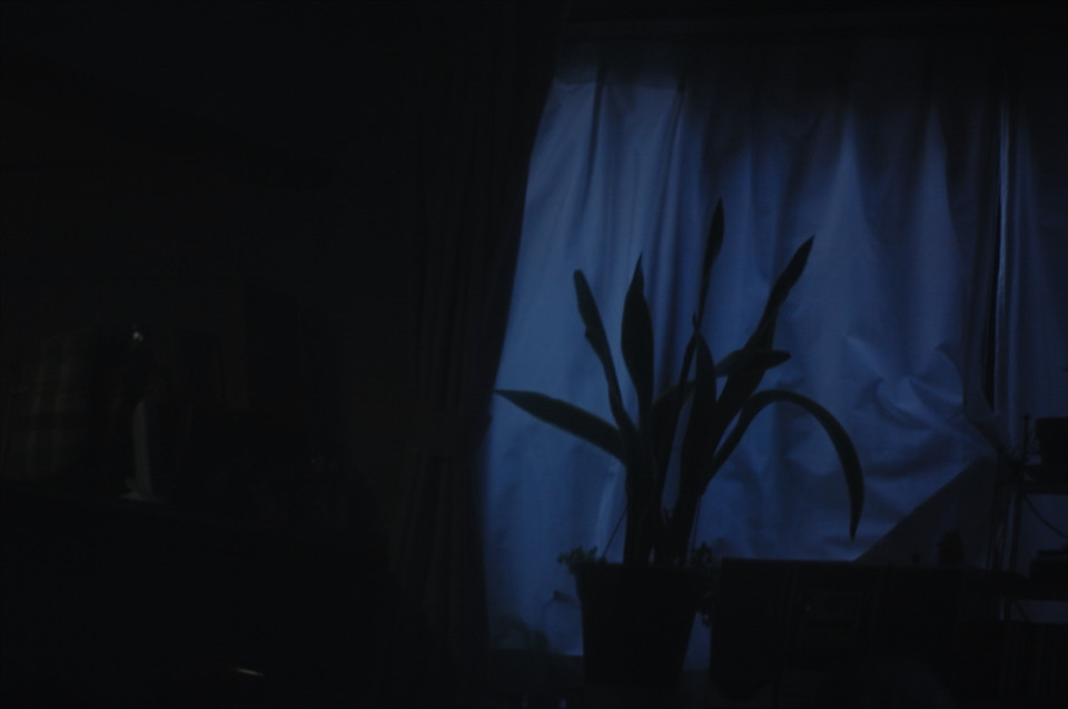 黒の中の青