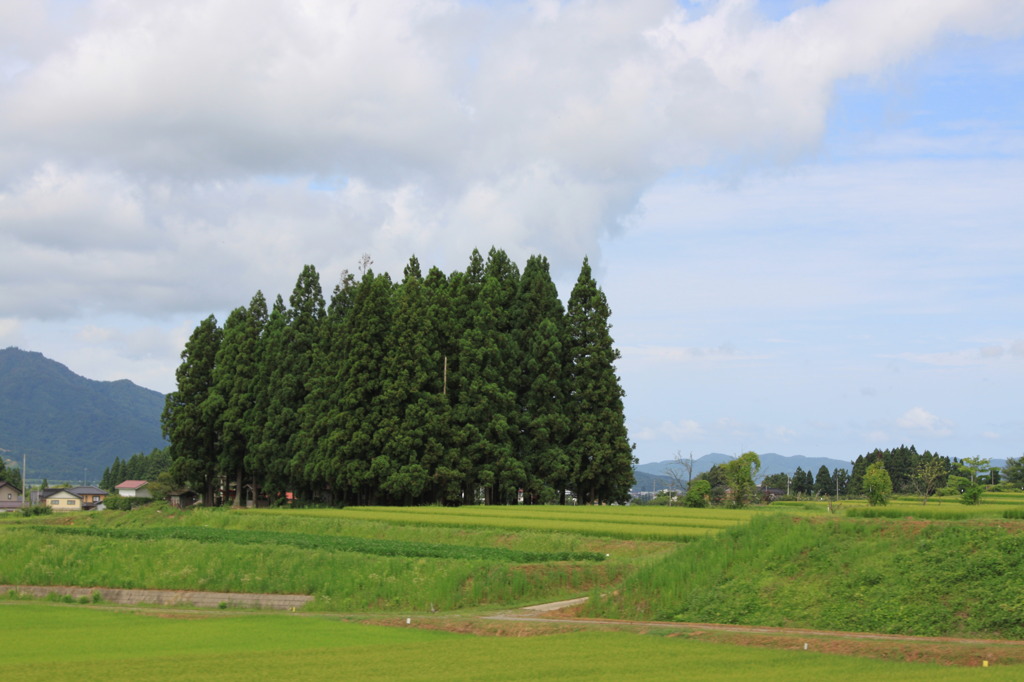 帰り道