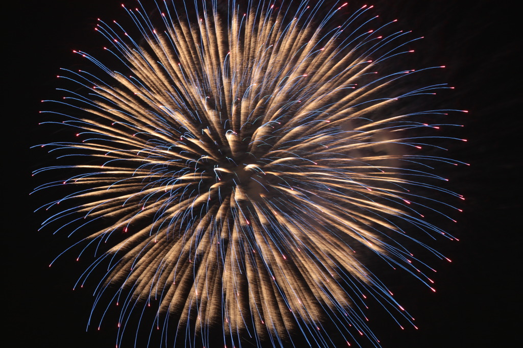IMG_2136
