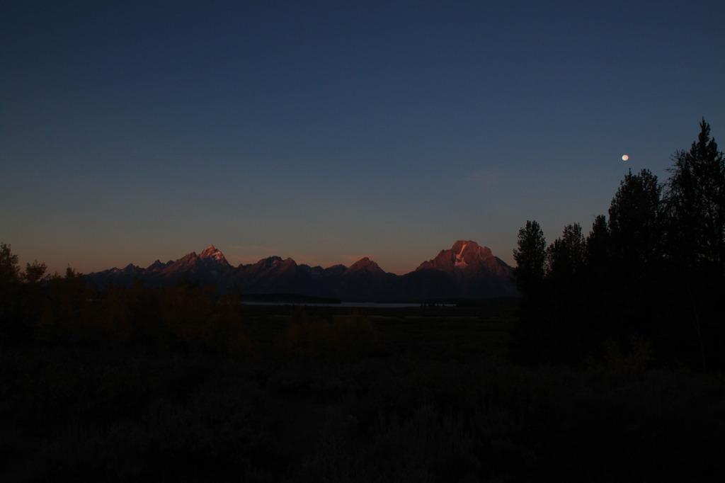 Morning moon