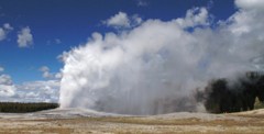 IMG_6453