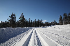 Snow Railway