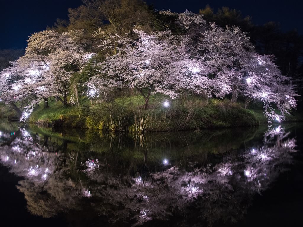 まるで花束のように