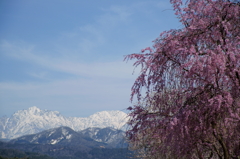 富山 春の風景