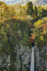 色づき始める白水の滝