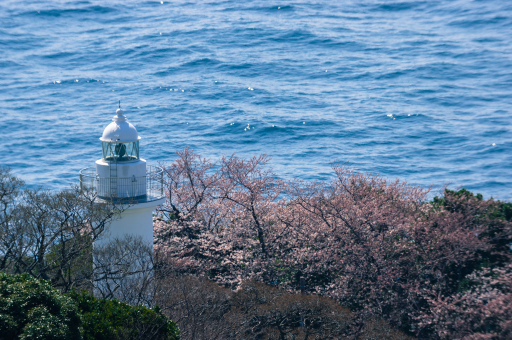 春の海