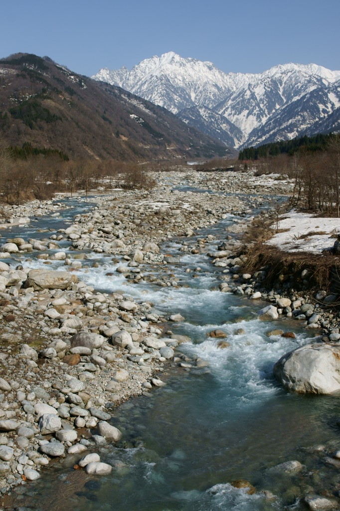 春の早月川