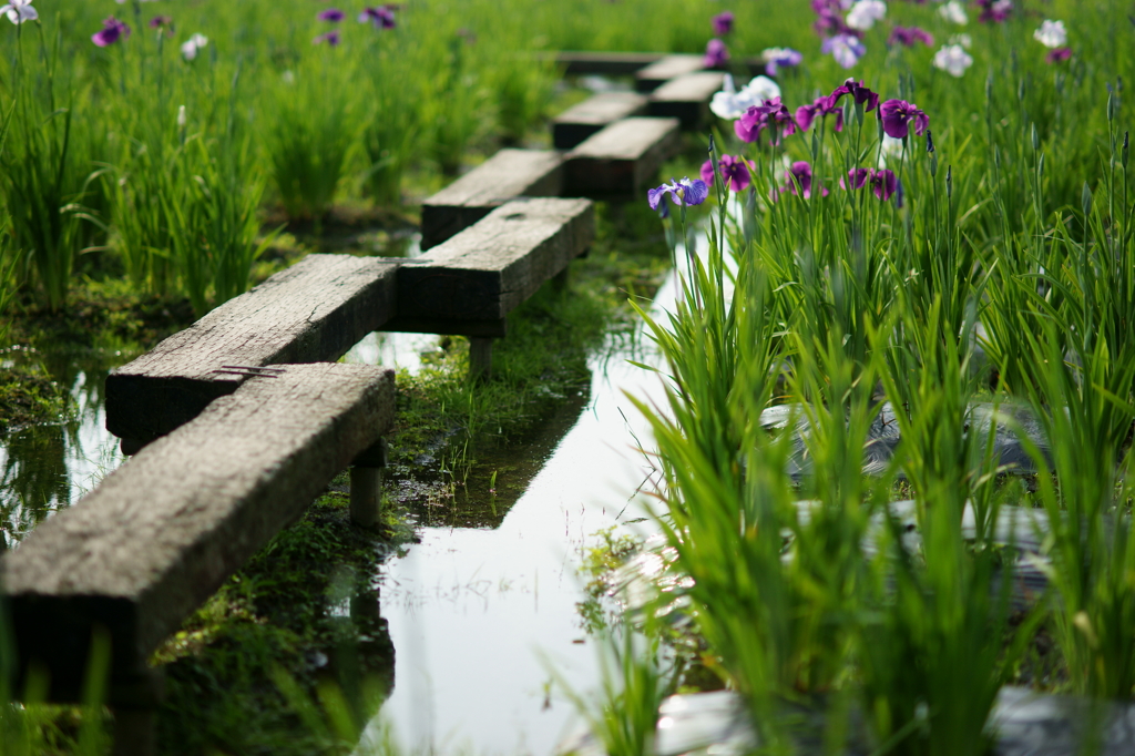 梅雨を歩く道