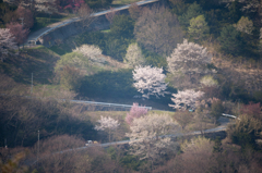 陸郷桜仙峡　朝の風景