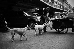 Bangkok④