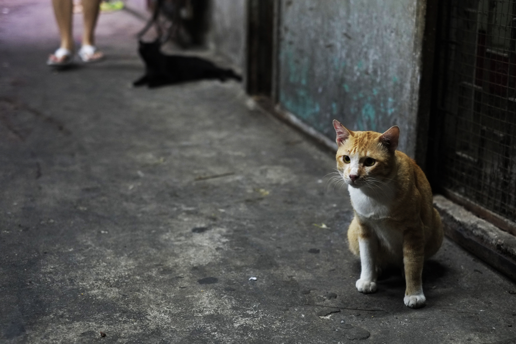 Bangkok