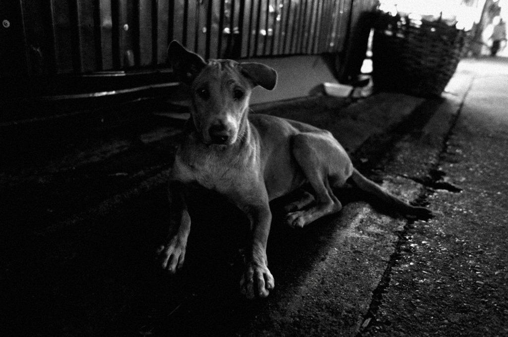 Bangkok