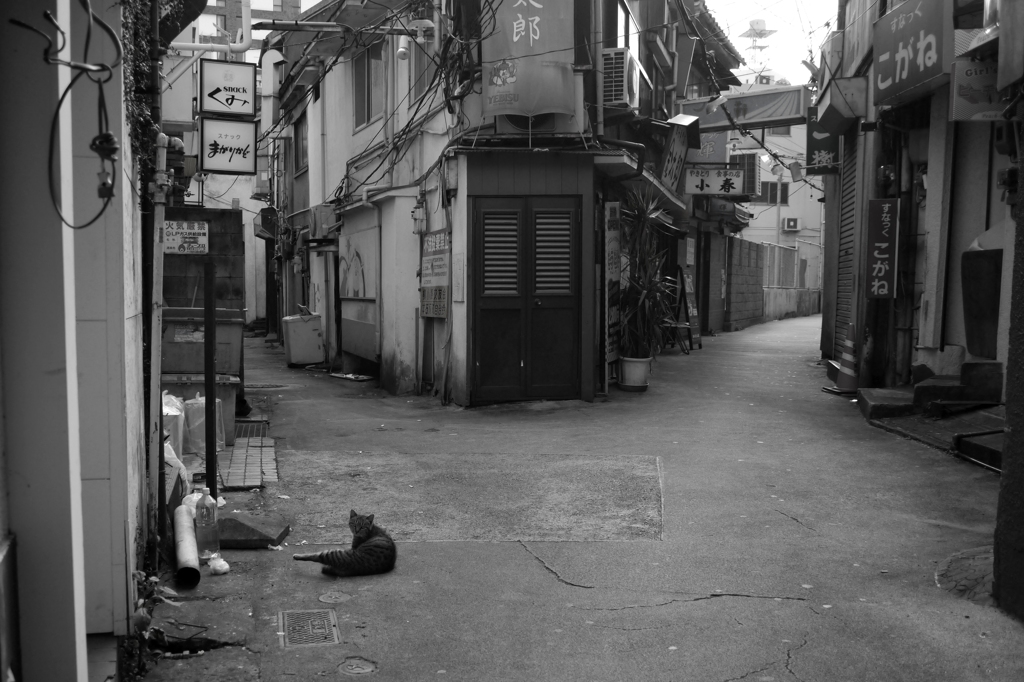 長崎