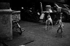 Bangkok①