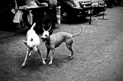 Bangkok②