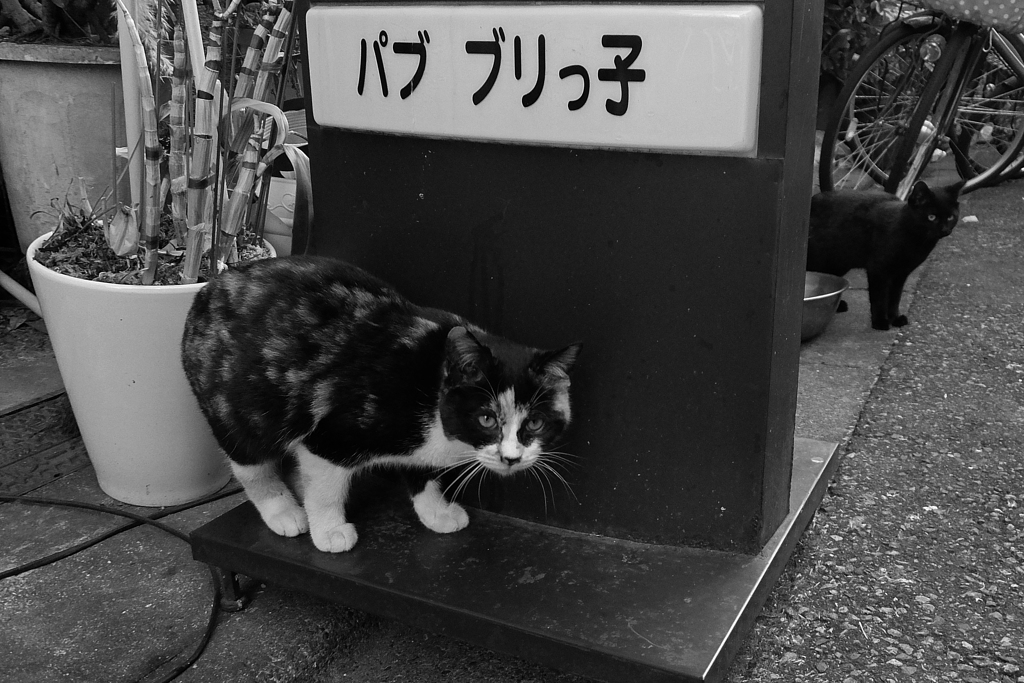 立石