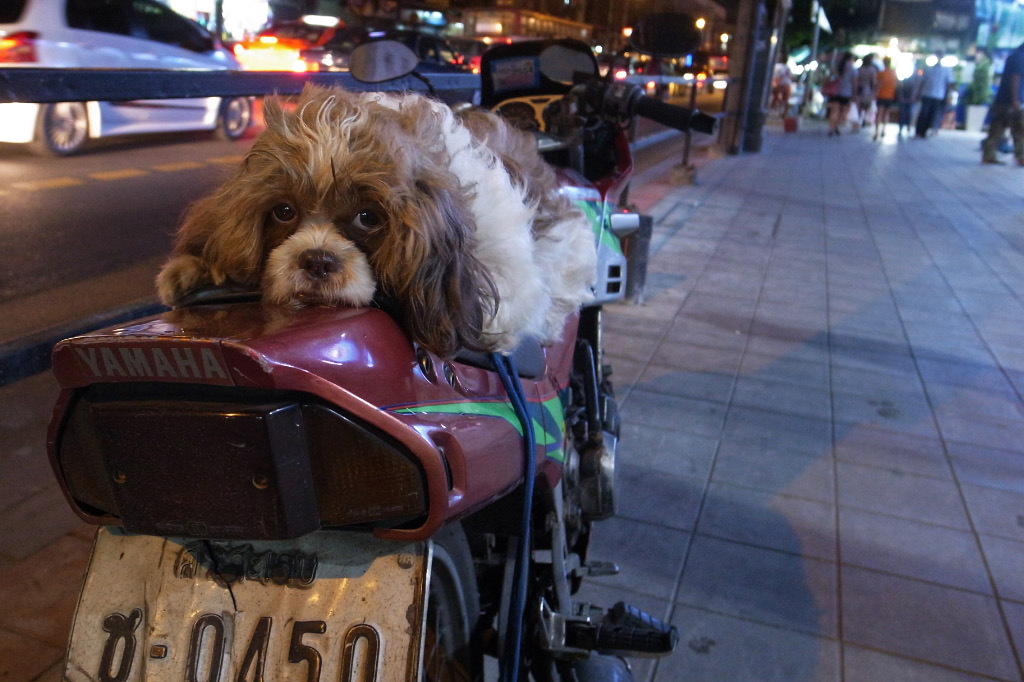 Bangkok