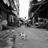 Bangkok