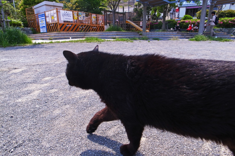 江ノ島