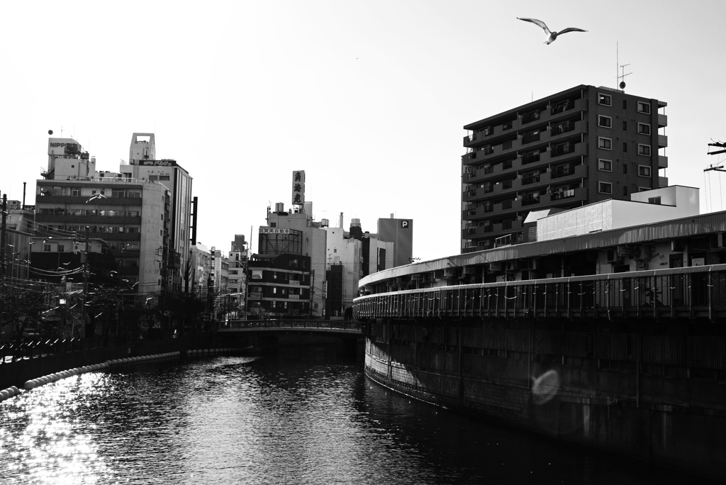 都橋