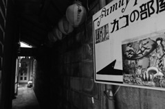 宇都宮