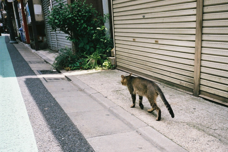 下北沢