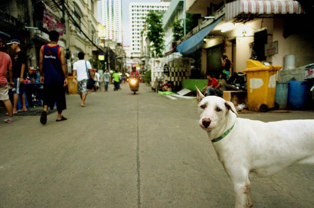 Bangkok