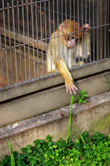 もう少し・・・