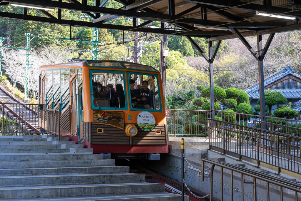 a.train-0225(Z812731)