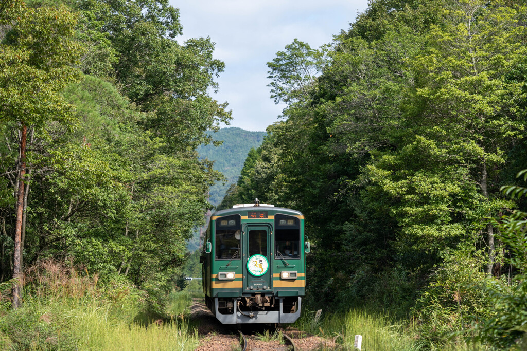 a.train-0125(A720552)