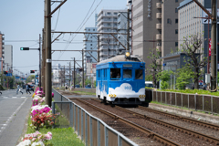 _Z823434