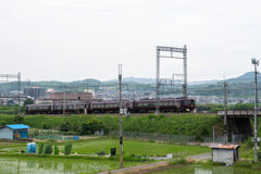 a.train-0095(Z612920)