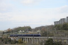 a.train-0015_南海-ラピート(高野線で運行)(Z610142)