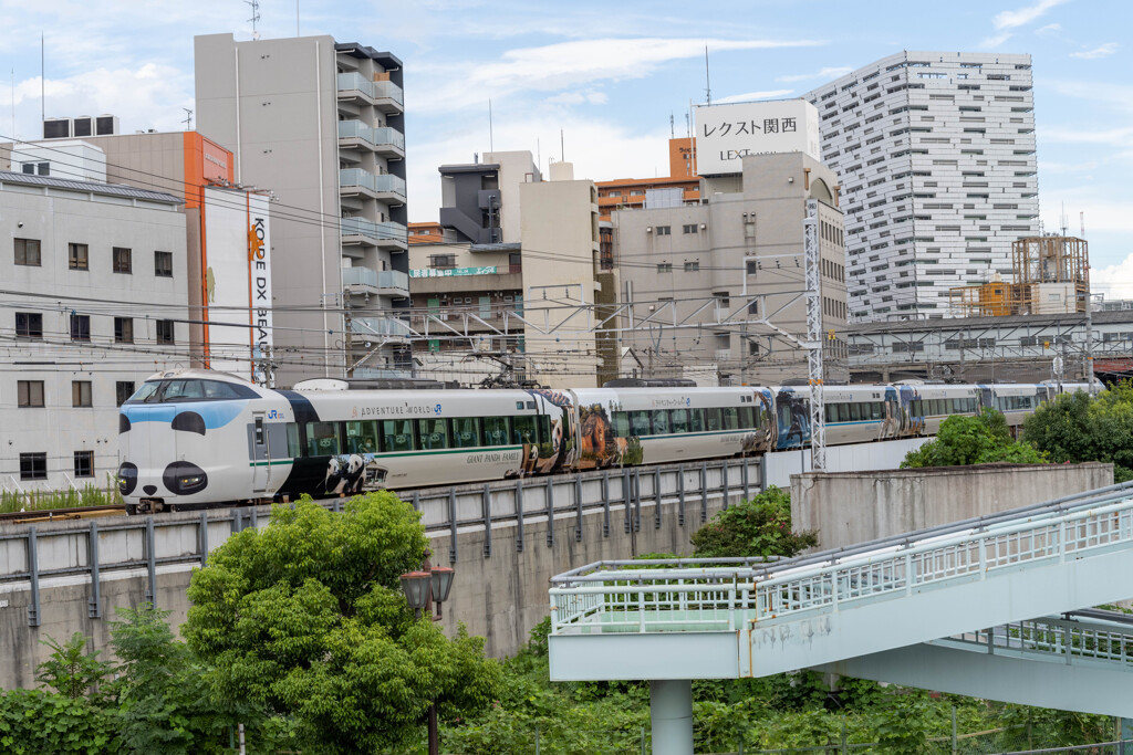 a.train-0115(Z720659)