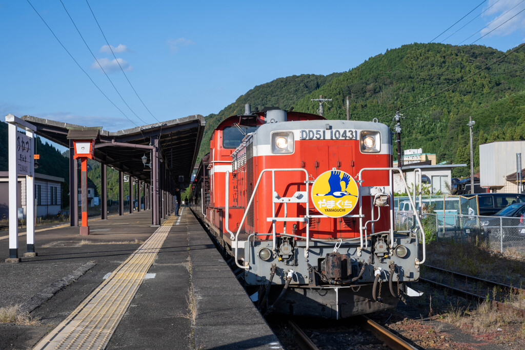 a.train-0197(Z811837)